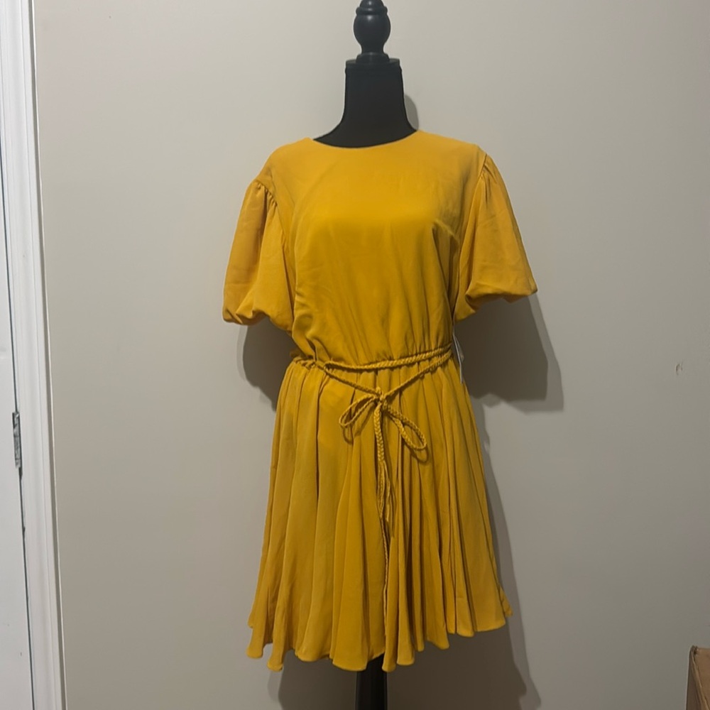 Pretty Mustard dress size 12